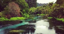 obrázek - Hamurana Springs Reserve