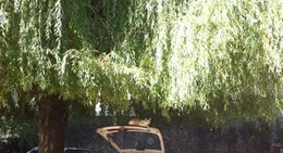 obrázek - Plan d'eau de Hommes