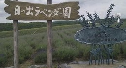 obrázek - 日の出公園