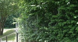 obrázek - Villars-sur-Glâne