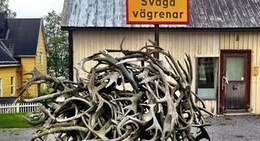 obrázek - Vilhelmina