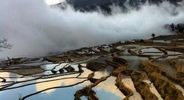 obrázek - hani terraced field