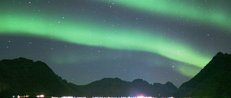 obrázek - Vestpollen