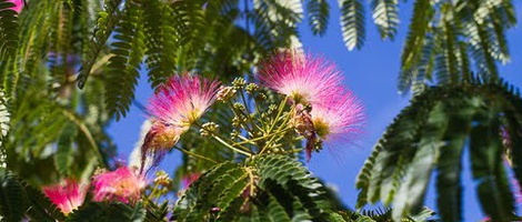 obrázek - Mareuil-sur-Lay