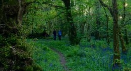 obrázek - Lough Key