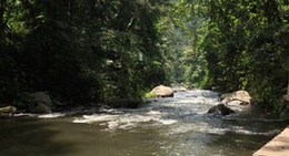 obrázek - Ayung River Rafting Adventure
