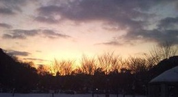 obrázek - 和田山中央文化公園