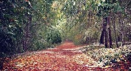 obrázek - Plochingen am Neckar