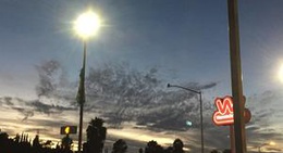 obrázek - Wienerschnitzel