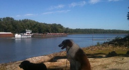 obrázek - Havana Riverfront Park