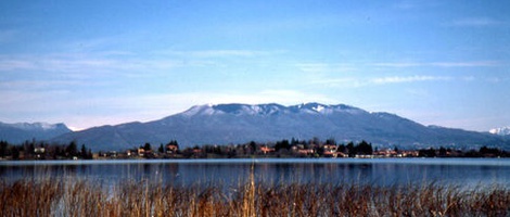 obrázek - Cadrezzate