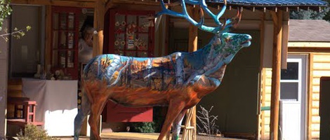 obrázek - Cascade-Chipita Park