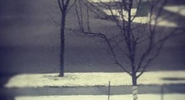 obrázek - Erin Ridge