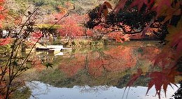 obrázek - 御船山楽園 紅葉まつり