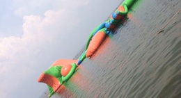 obrázek - แพวังปลา