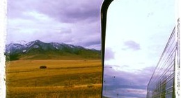 obrázek - shedhorn ranch