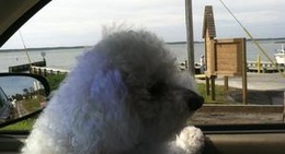 obrázek - Harker's Island Boat Ramp