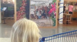 obrázek - Gloria Jean's Coffees