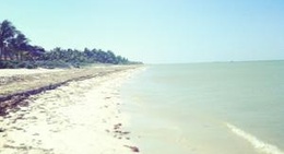 obrázek - Playa De Chicxulub