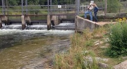 obrázek - Tippy Dam