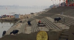 obrázek - Assi Ghat