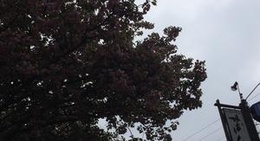 obrázek - レストラン・喫茶 芦生