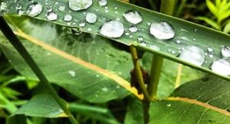 obrázek - Lakefield Beach