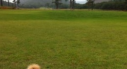 obrázek - 豪円山スキー場