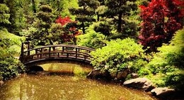 obrázek - Anderson Japanese Gardens