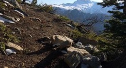 obrázek - Trinity National Forest