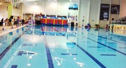 obrázek - Alberca Querétaro 2000