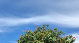 obrázek - หาดส่วนตัว