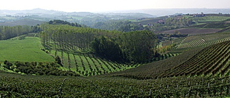 obrázek - Grazzano Badoglio