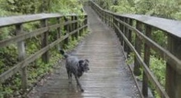 obrázek - Schroeder's Scenic Trail