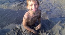 obrázek - Howdenvale, Ontario