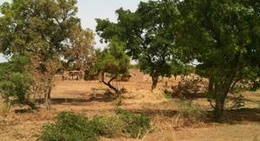 obrázek - Boussu-lez-Walcourt