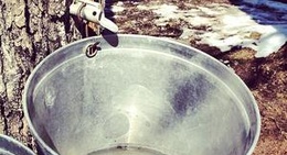 obrázek - La Cabane à Sucre Millette