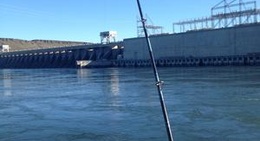 obrázek - McNary Dam