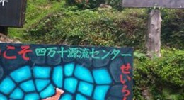 obrázek - 堂海森林公園