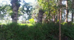 obrázek - Little Farmers