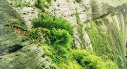 obrázek - Да Хун Пао на скале