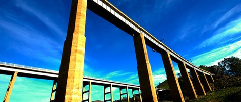 obrázek - Bonnie Doon