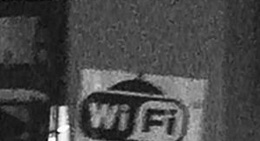 obrázek - Tangled Garden Cafe