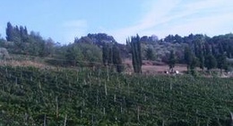 obrázek - Azienda Agricola "Antica Locanda di Sesto" (Vineyards & Farm)