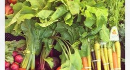 obrázek - Winter Ridge Natural Foods