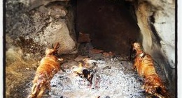 obrázek - Zlatna Potkova