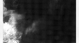 obrázek - Downtown Jesup,GA