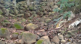 obrázek - Burunga Hills