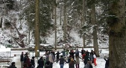 obrázek - Abant Park