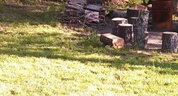 obrázek - City of St Clair